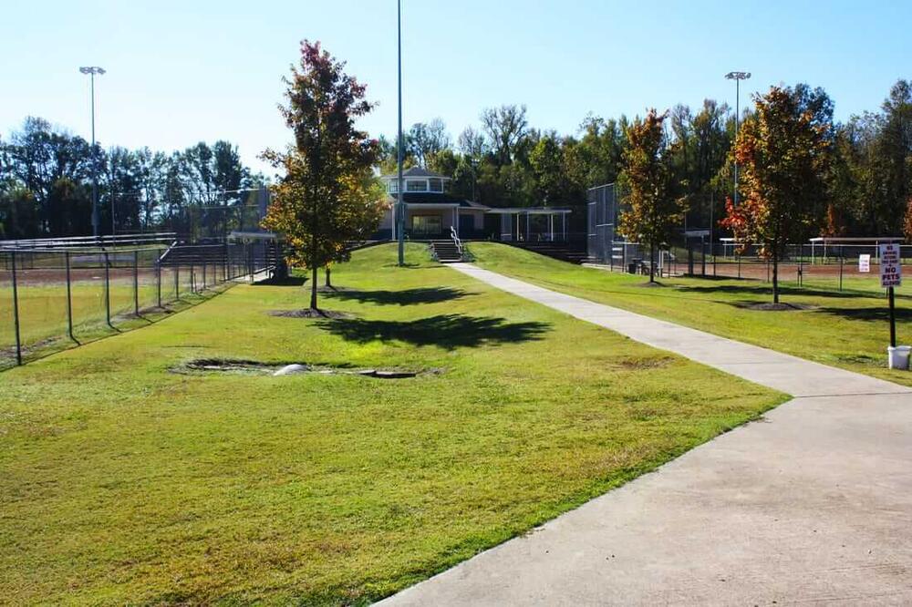 a walkway between two softball fields