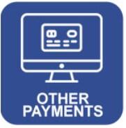 Other Payments