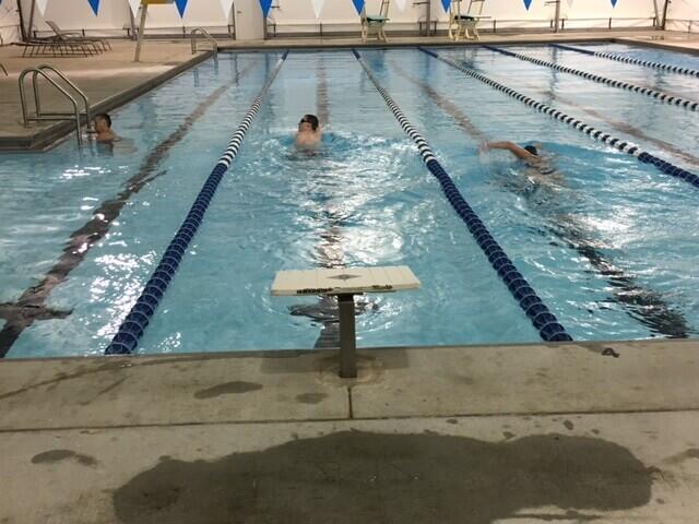 three swimmers swimming in a pool