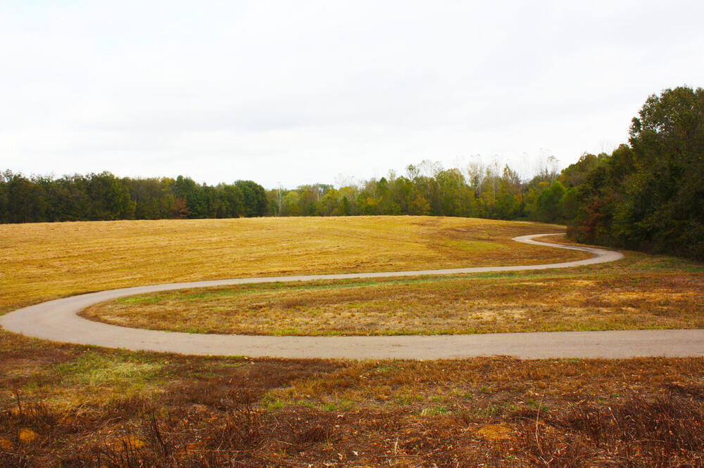 a walking trail at cobb parr park