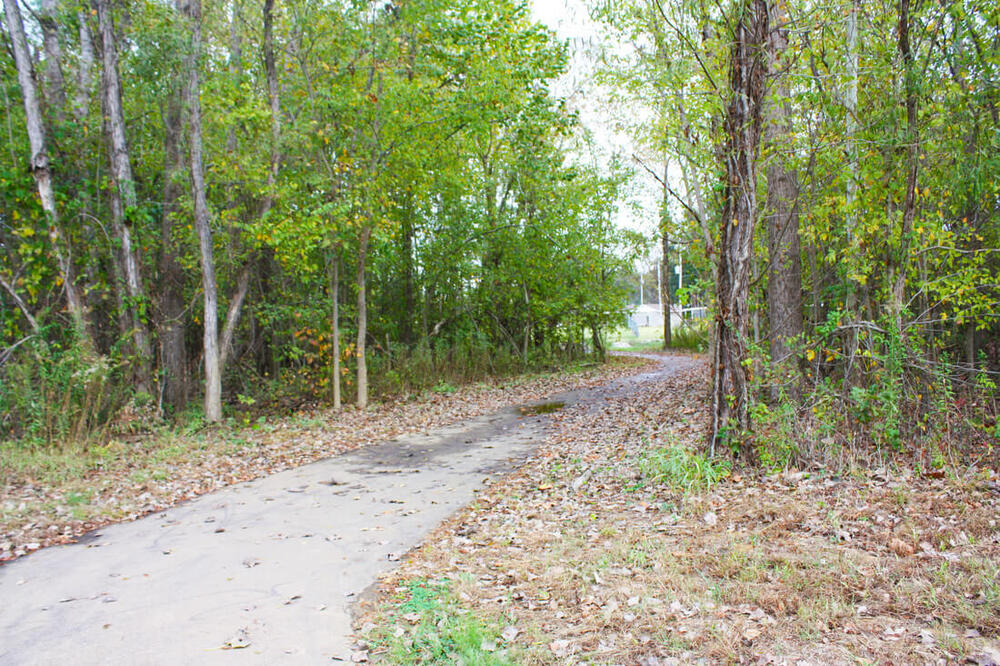 a walking trail at cobb parr park
