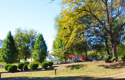 wide angle view of Frazier Park